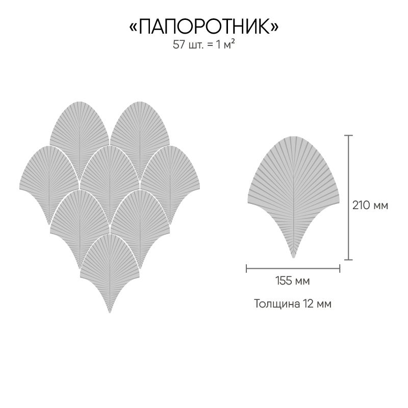 Папоротник Кофе с молоком